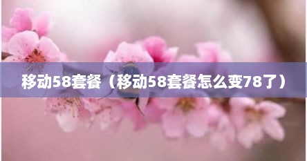 移动58套餐（移动58套餐怎么变78了）