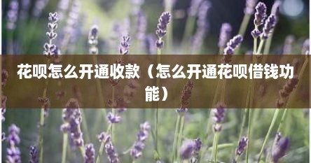 花呗怎么开通收款（怎么开通花呗借钱功能）