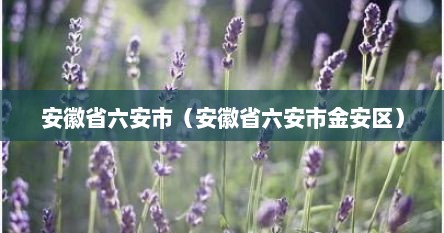 安徽省六安市（安徽省六安市金安区）