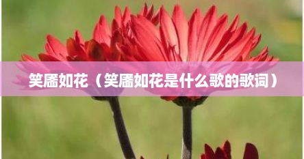 笑靥如花（笑靥如花是什么歌的歌词）