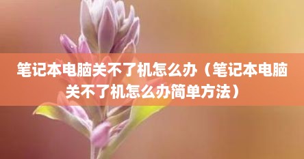 笔记本电脑关不了机怎么办（笔记本电脑关不了机怎么办简单方法）