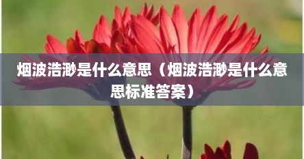 烟波浩渺是什么意思（烟波浩渺是什么意思标准答案）