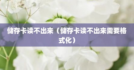 储存卡读不出来（储存卡读不出来需要格式化）