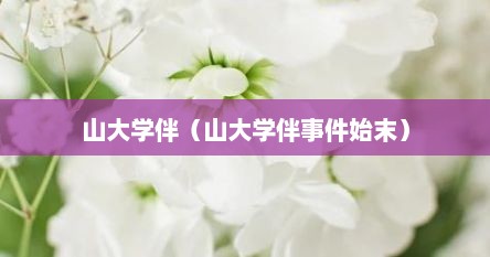 山大学伴（山大学伴事件始末）