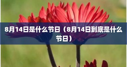 8月14日是什么节日（8月14日到底是什么节日）