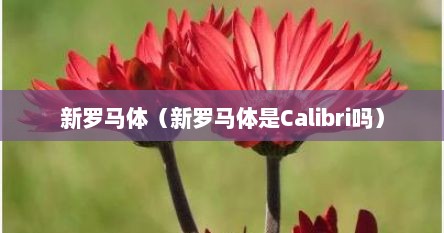 新罗马体（新罗马体是Calibri吗）