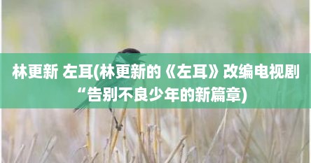 林更新 左耳(林更新的《左耳》改编电视剧“告别不良少年的新篇章)