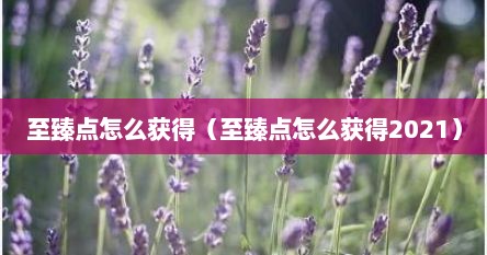 至臻点怎么获得（至臻点怎么获得2021）