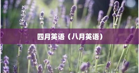 四月英语（八月英语）