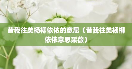 昔我往矣杨柳依依的意思（昔我往矣杨柳依依意思采薇）