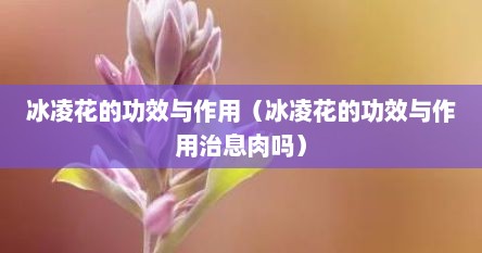 冰凌花的功效与作用（冰凌花的功效与作用治息肉吗）