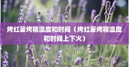 烤红薯烤箱温度和时间（烤红薯烤箱温度和时间上下火）