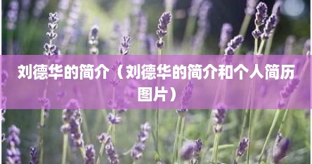 刘德华的简介（刘德华的简介和个人简历图片）