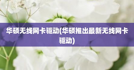 华硕无线网卡驱动(华硕推出最新无线网卡驱动)