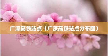 广深高铁站点（广深高铁站点分布图）