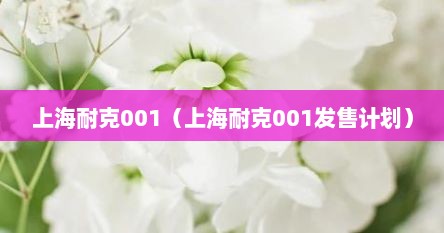 上海耐克001（上海耐克001发售计划）