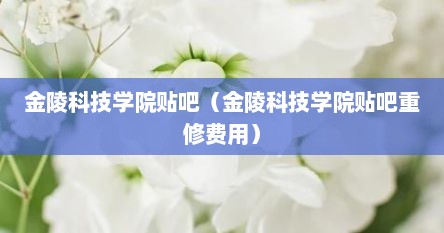 金陵科技学院贴吧（金陵科技学院贴吧重修费用）