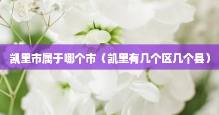 凯里市属于哪个市（凯里有几个区几个县）