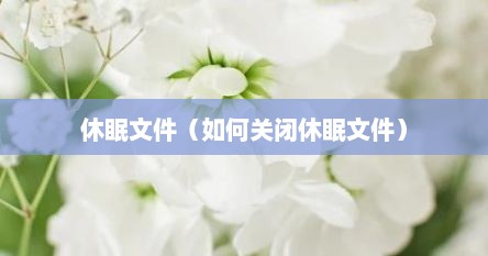 休眠文件（如何关闭休眠文件）