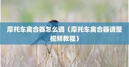 摩托车离合器怎么调（摩托车离合器调整视频教程）