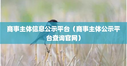 商事主体信息公示平台（商事主体公示平台查询官网）