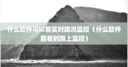 什么软件可以看实时路况监控（什么软件能看到路上监控）