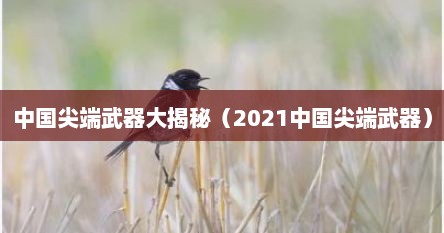 中国尖端武器大揭秘（2021中国尖端武器）