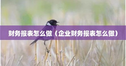 财务报表怎么做（企业财务报表怎么做）