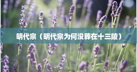 明代宗（明代宗为何没葬在十三陵）