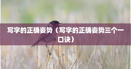 写字的正确姿势（写字的正确姿势三个一口诀）