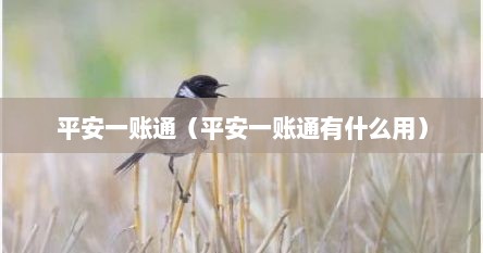 平安一账通（平安一账通有什么用）