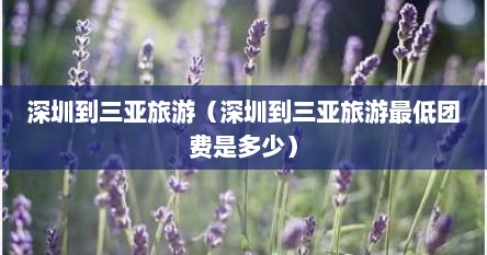 深圳到三亚旅游（深圳到三亚旅游最低团费是多少）