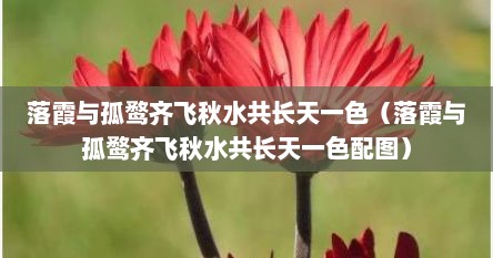 落霞与孤鹜齐飞秋水共长天一色（落霞与孤鹜齐飞秋水共长天一色配图）