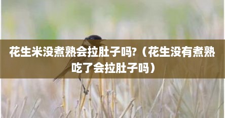 花生米没煮熟会拉肚子吗?（花生没有煮熟吃了会拉肚子吗）