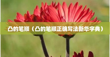 凸的笔顺（凸的笔顺正确写法新华字典）