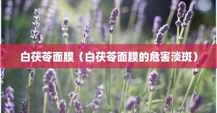 白茯苓面膜（白茯苓面膜的危害淡斑）