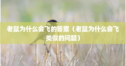 老鼠为什么会飞的答案（老鼠为什么会飞类似的问题）