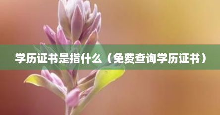 学历证书是指什么（免费查询学历证书）