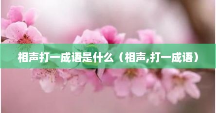 相声打一成语是什么（相声,打一成语）