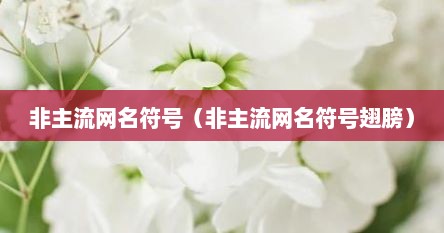 非主流网名符号（非主流网名符号翅膀）