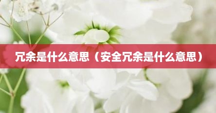 冗余是什么意思（安全冗余是什么意思）