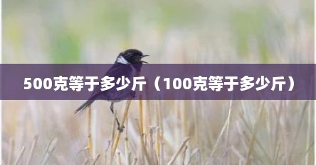 500克等于多少斤（100克等于多少斤）