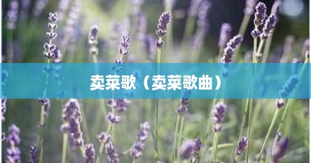 卖菜歌（卖菜歌曲）