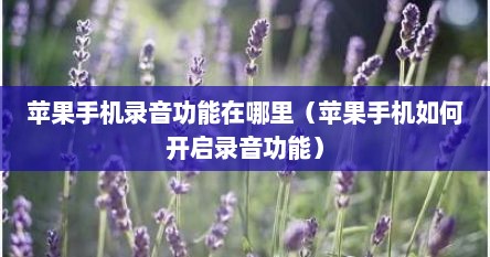 苹果手机录音功能在哪里（苹果手机如何开启录音功能）