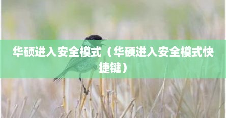 华硕进入安全模式（华硕进入安全模式快捷键）