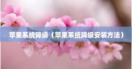 苹果系统降级（苹果系统降级安装方法）