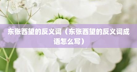 东张西望的反义词（东张西望的反义词成语怎么写）