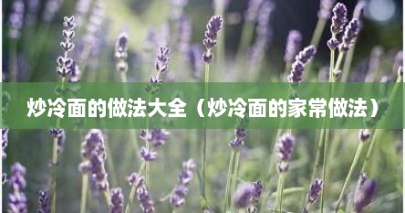 炒冷面的做法大全（炒冷面的家常做法）