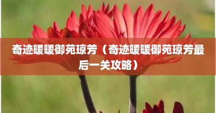 奇迹暖暖御苑琼芳（奇迹暖暖御苑琼芳最后一关攻略）