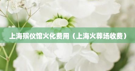 上海殡仪馆火化费用（上海火葬场收费）